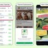 WhatsApp’a reklam geliyor! Meta’nın yeni para kazanma planı